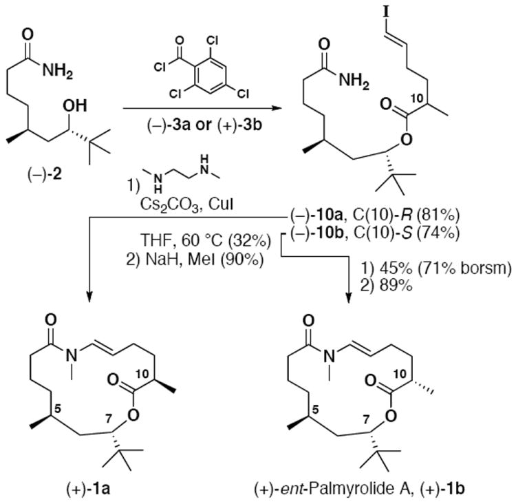 Scheme 5