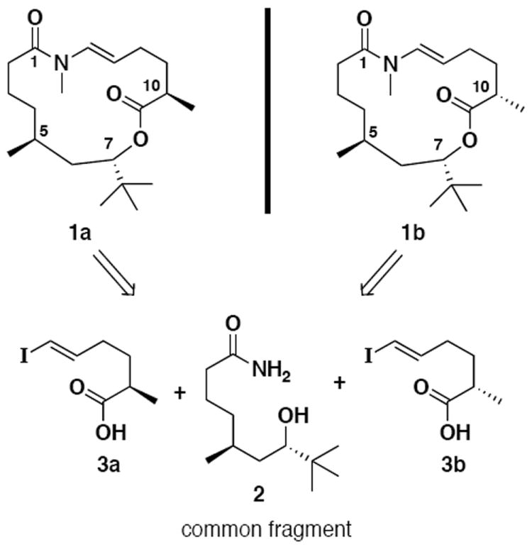 Scheme 1