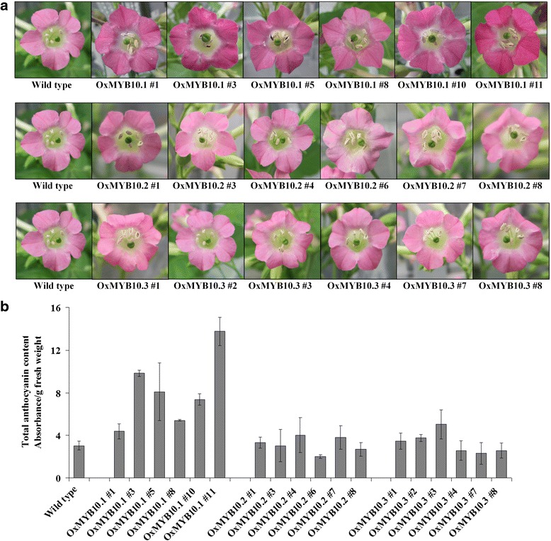 Fig. 4