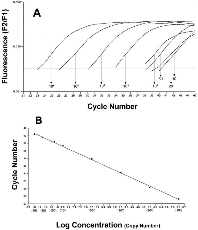 FIG. 2.