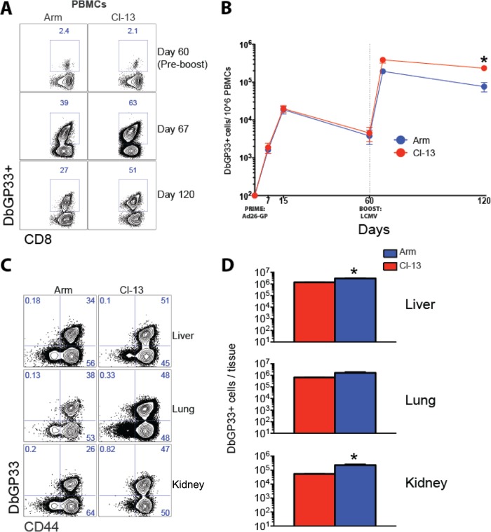 FIG 2