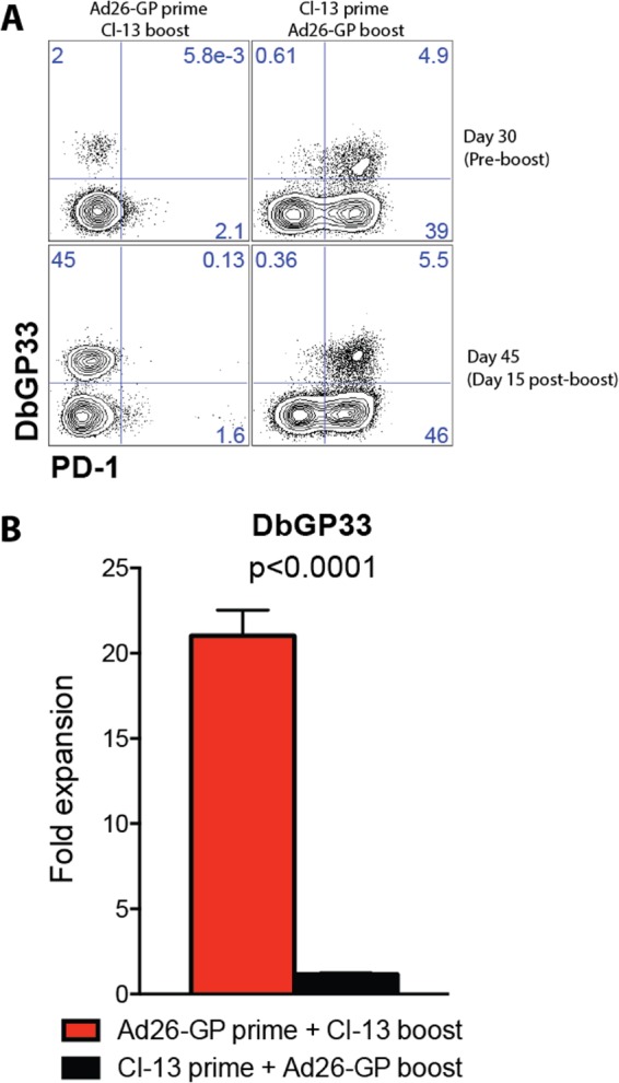 FIG 8