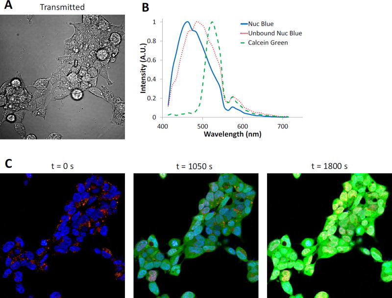 Figure 2