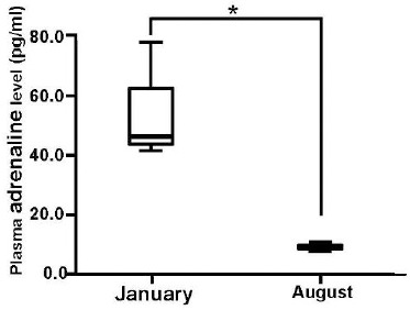 Fig. 1b