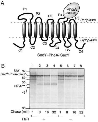 FIG. 6.