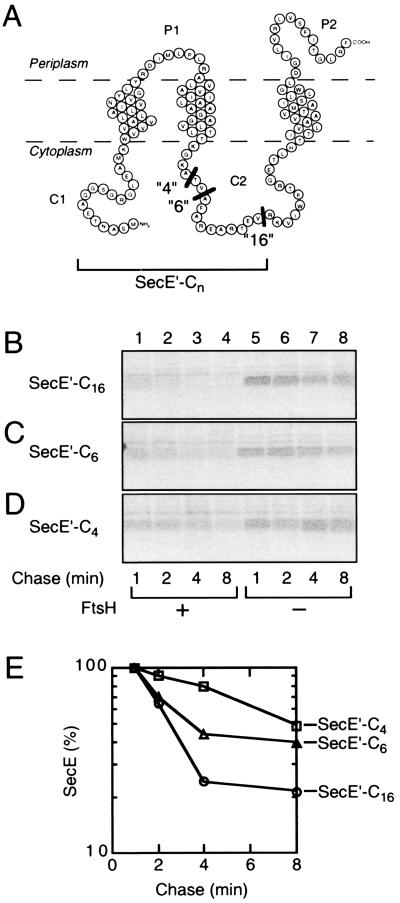 FIG. 5.