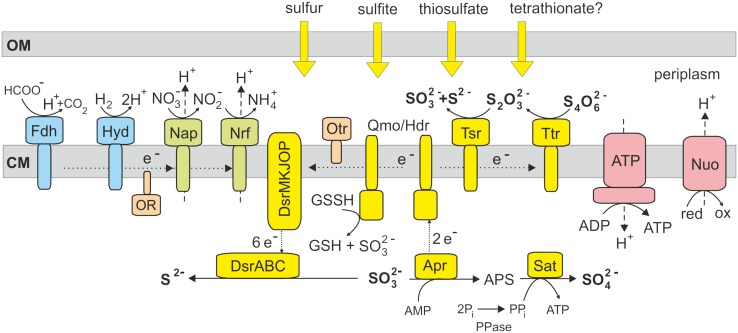 FIGURE 2