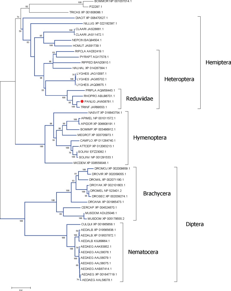 Fig 6