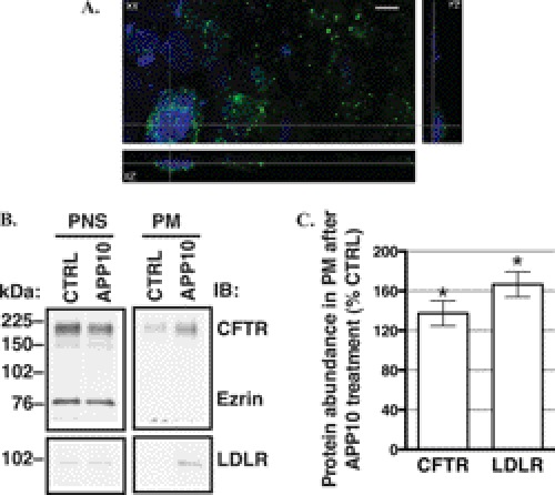 FIGURE 13.