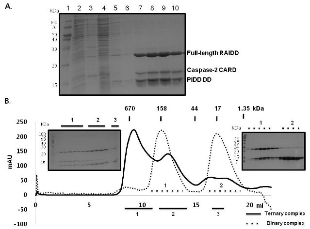 Fig. 3.