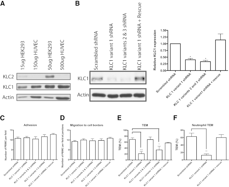 Figure 5