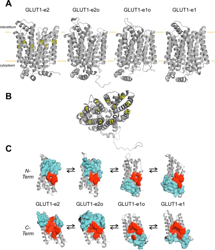 Figure 1.