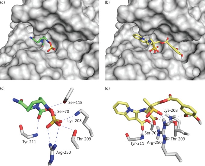 Figure 5.