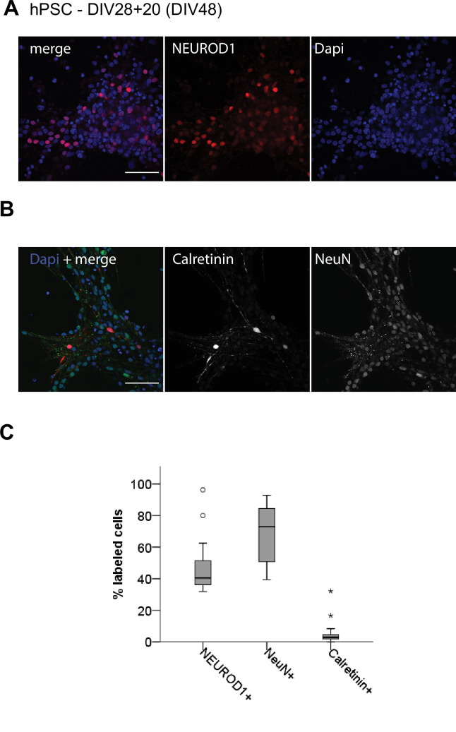 Figure 2—figure supplement 1.