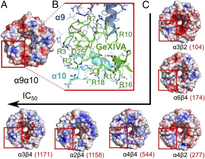 Fig. 7.