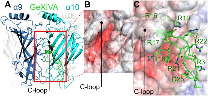 Fig. 6.