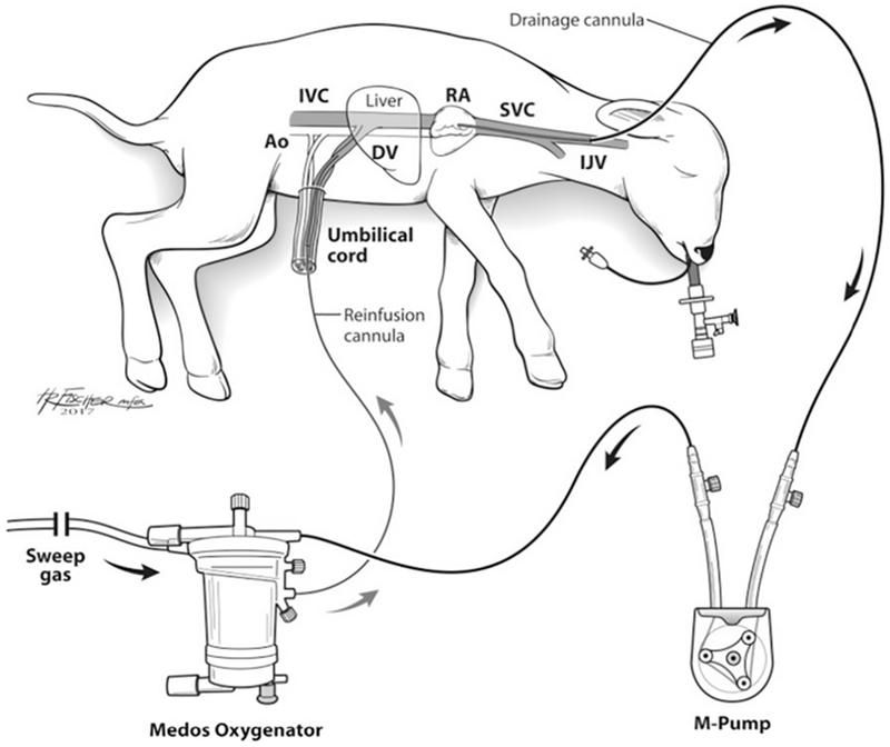 Fig. 1.