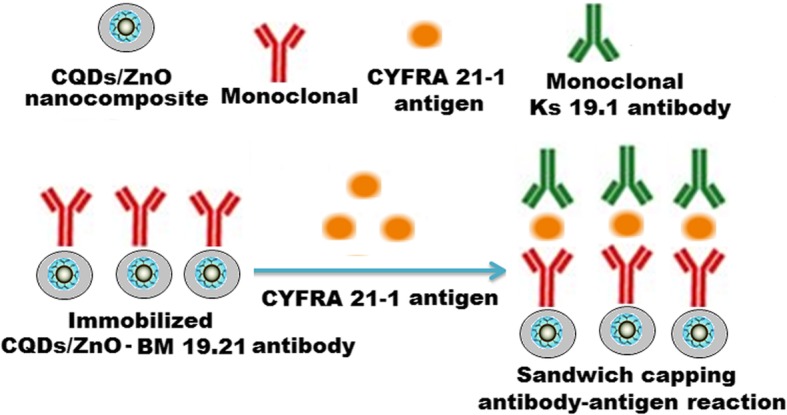 Scheme 3