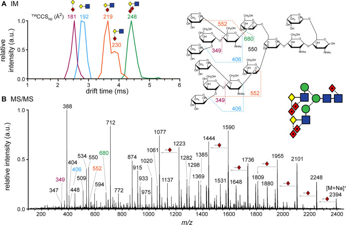 Figure 21