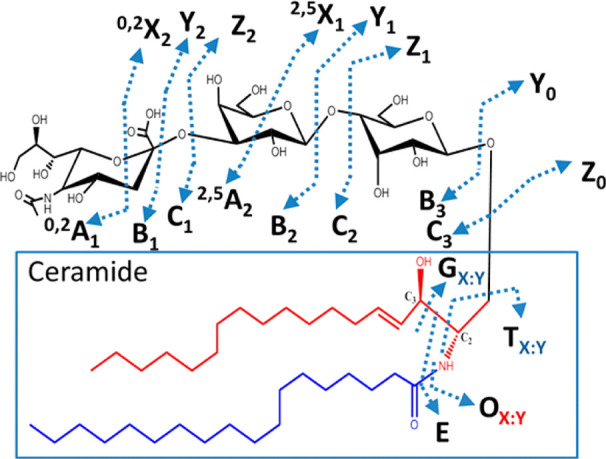 Figure 40