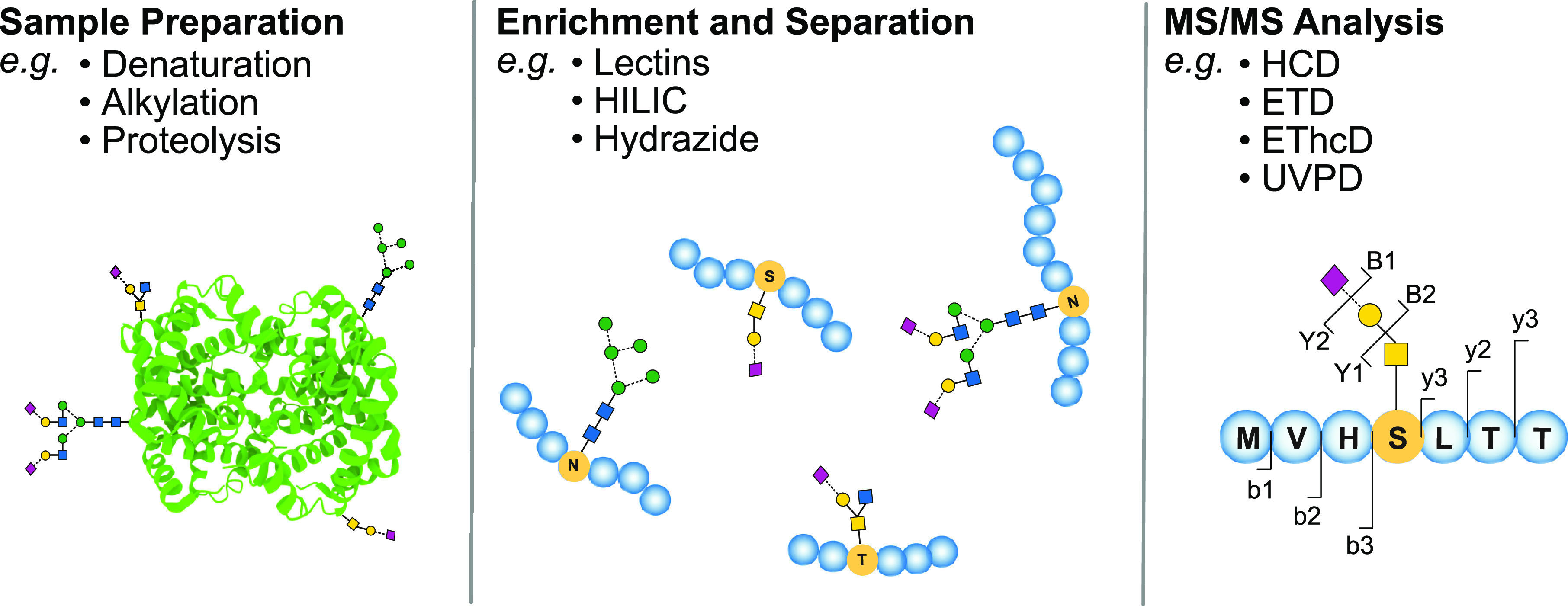 Figure 36