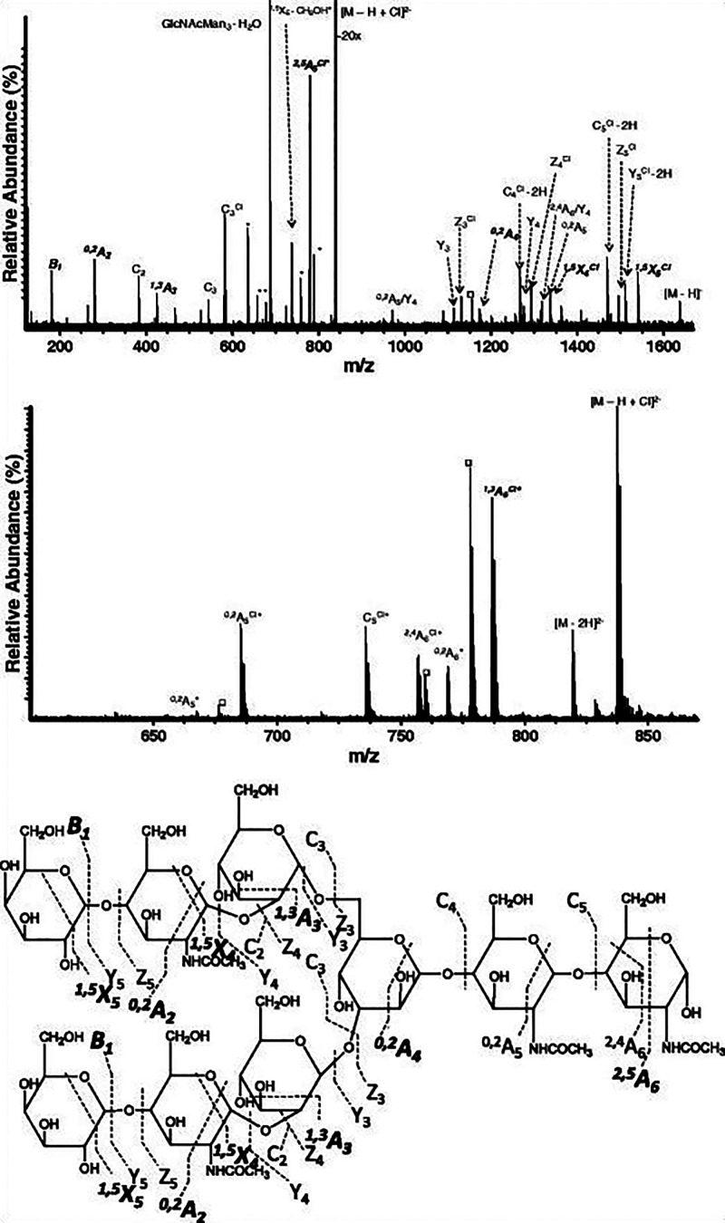 Figure 19