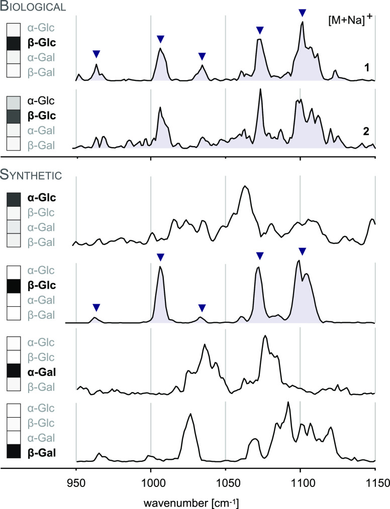 Figure 42