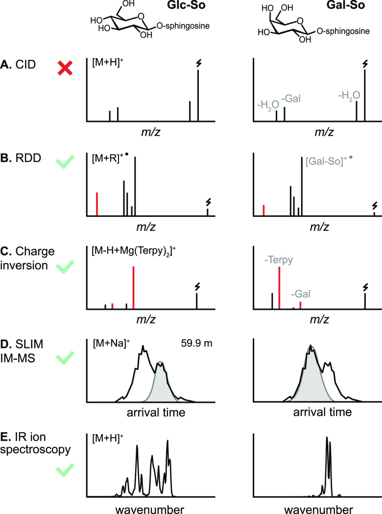 Figure 41