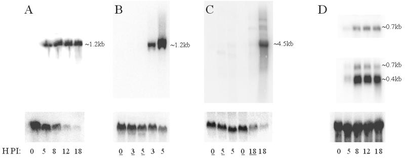 FIG. 7.