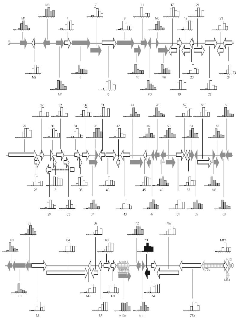 FIG. 8.