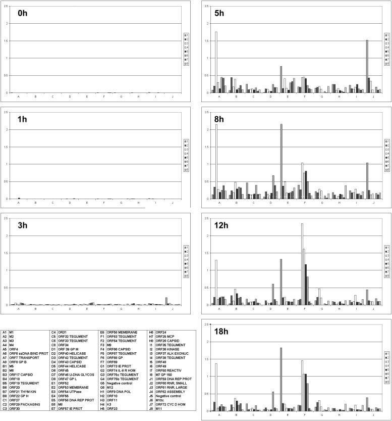 FIG. 2.