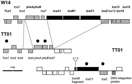 FIG. 5.