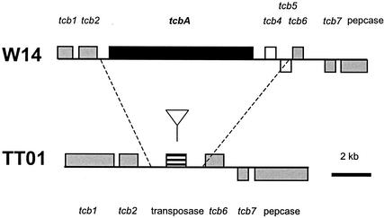 FIG. 6.