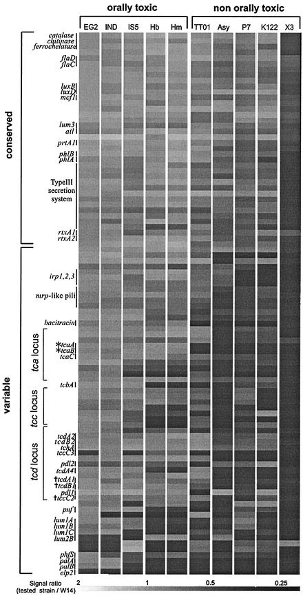 FIG.2.