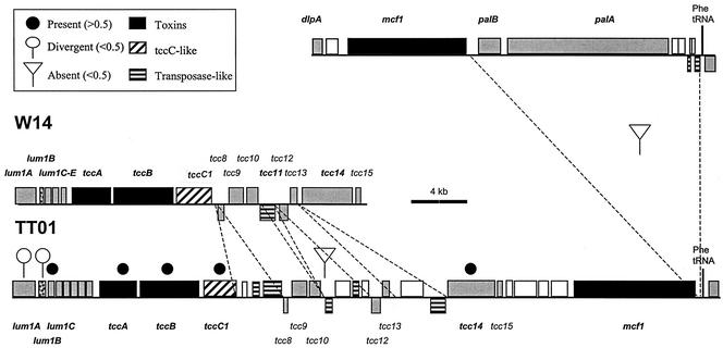 FIG. 3.