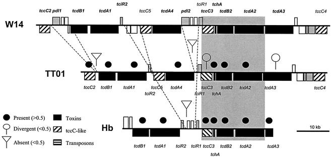 FIG. 7.