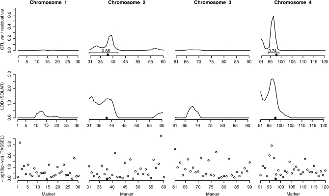 Figure 1.—