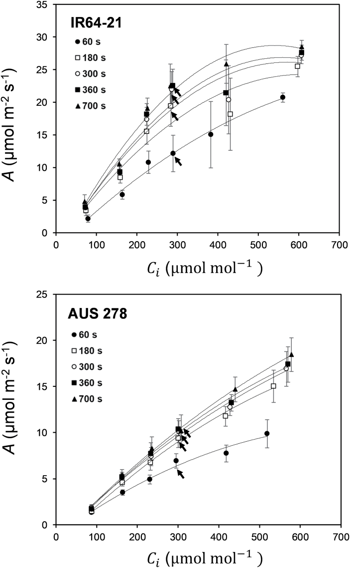 Fig. 6.