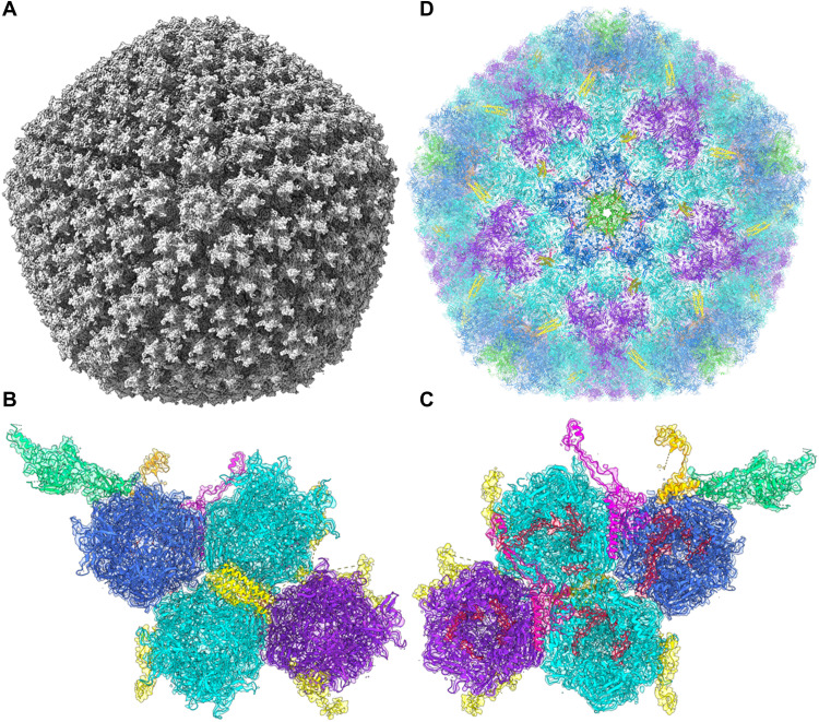 Fig. 1.