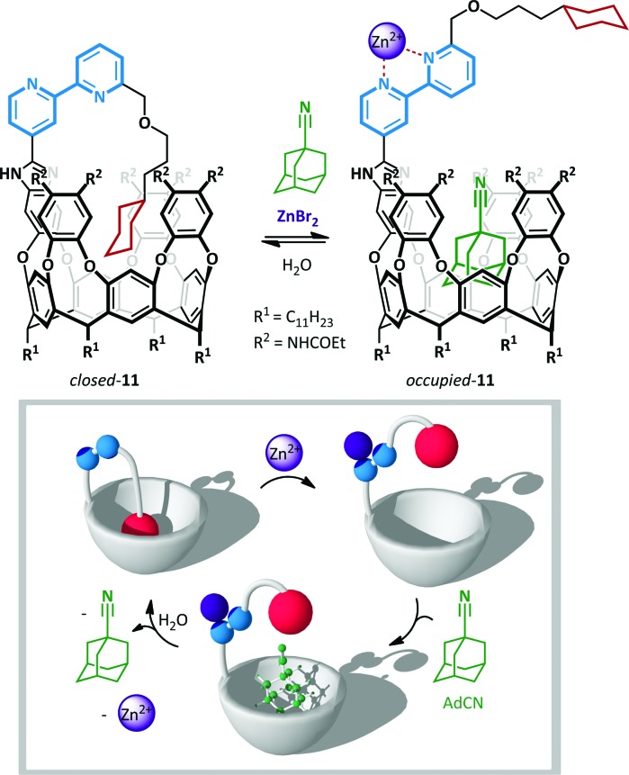 Scheme 9