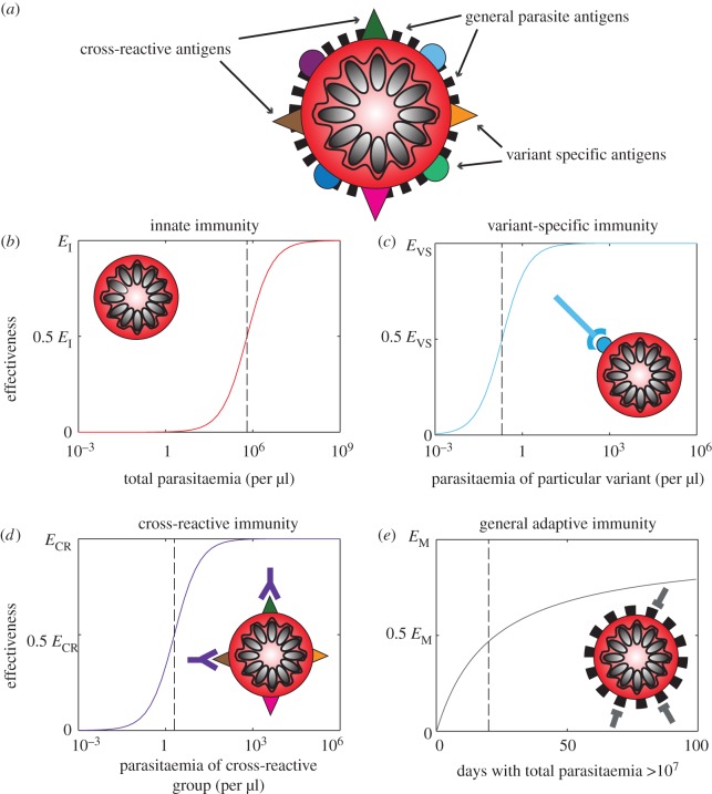 Figure 2.