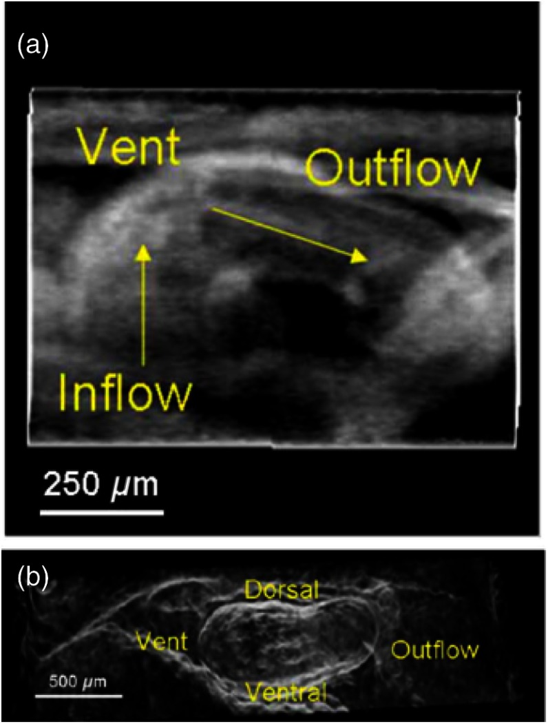 Fig. 18