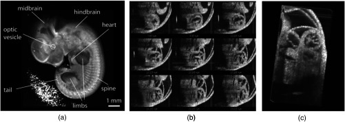 Fig. 9