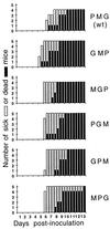 FIG. 6