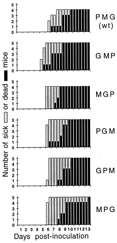 FIG. 6