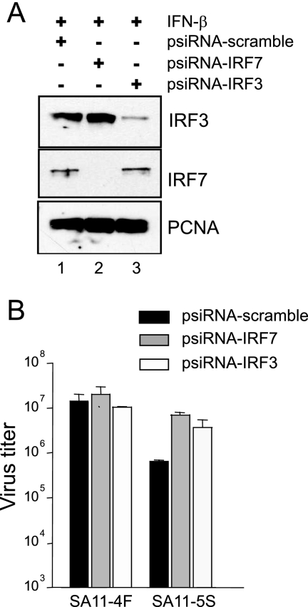 FIG. 5.