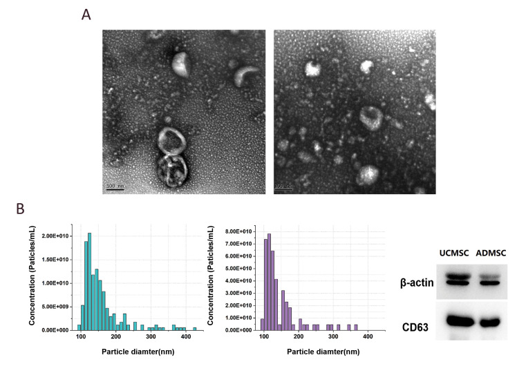 Fig.2