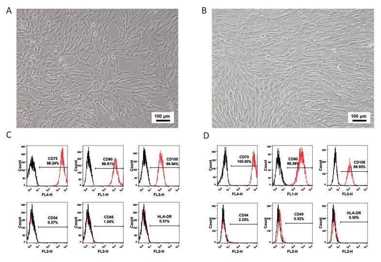 Fig.1