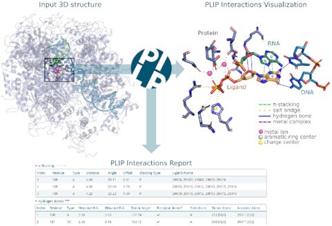 Graphical Abstract