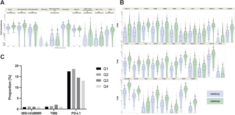 Figure 3. Correlation of immune-related genes and immune cell estimates in CXCR4high and CXCR4low PDACs. A, High CXCR4 mRNA expression (green; Q4) is linked to an increase of several immune-related genes using whole transcriptomic analyses (all, P < 0.05). B, QuanTiseq analysis suggests an increase of immune cell infiltration in CXCR4high (Q4; green) compared with CXCR4low (Q1; blue) PDACs. C, CXCR4 mRNA expression is independent of MSI-H/dMMR and TMB. PD-L1 IHC expression shows a decrease from Q1 to Q4. **, P < 0.001; *, P < 0.01.